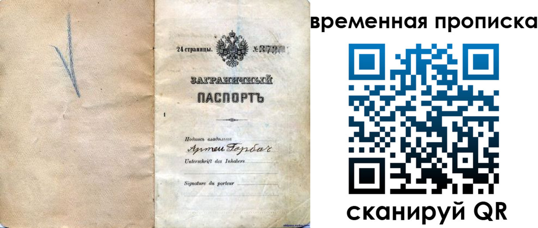 прописка поиск в Тайшете